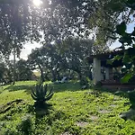 Il Lentischio Domo Mea Vila
