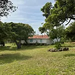 Il Lentischio Domo Mea Vila *