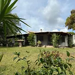 Il Lentischio Domo Mea Vila