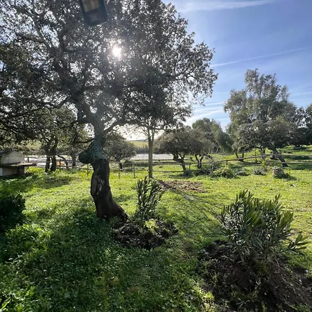 Il Lentischio Domo Mea * Nulvi