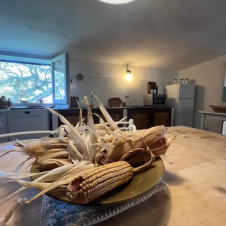 Il Lentischio Domo Mea *