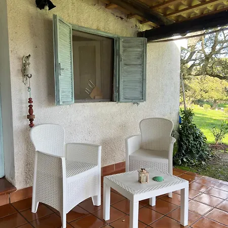 Il Lentischio Domo Mea