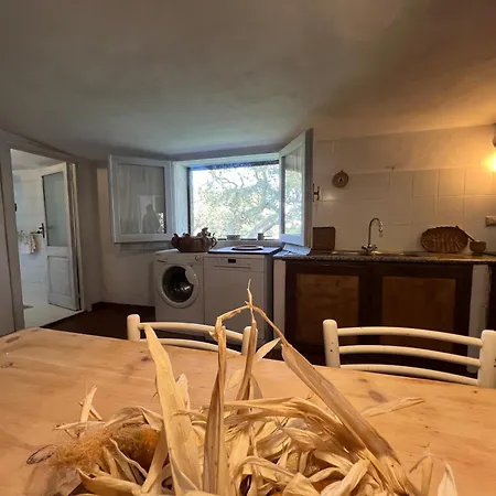 Il Lentischio Domo Mea Nulvi