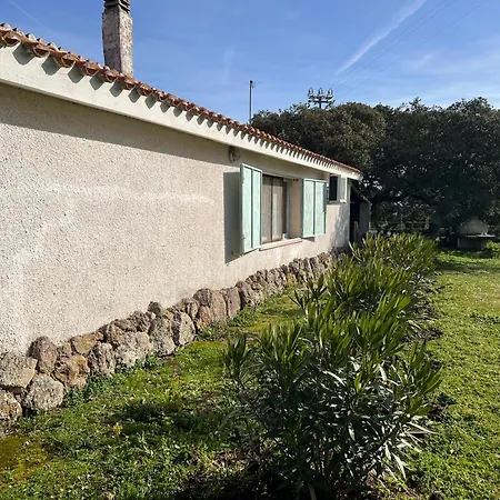 Il Lentischio Domo Mea *