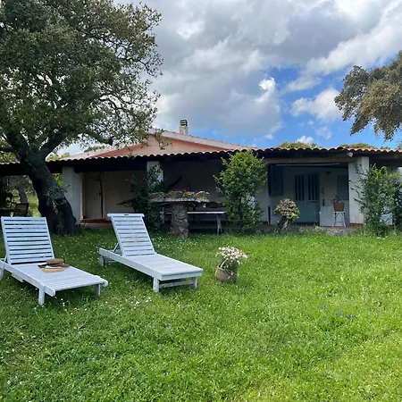 Villa Il Lentischio Domo Mea *