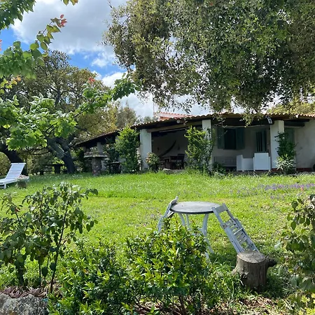 Villa Il Lentischio Domo Mea