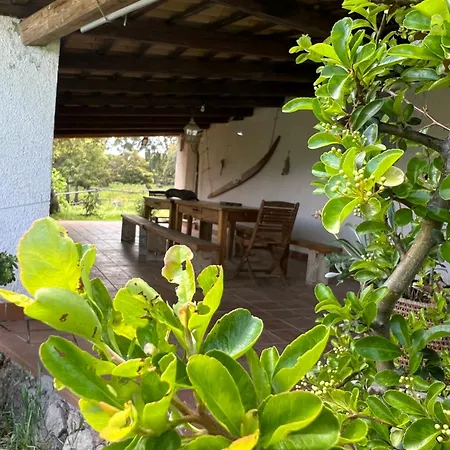 Il Lentischio Domo Mea Villa