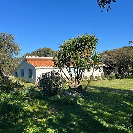 Il Lentischio Domo Mea Villa Nulvi