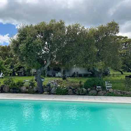 Villa Il Lentischio Domo Mea Nulvi