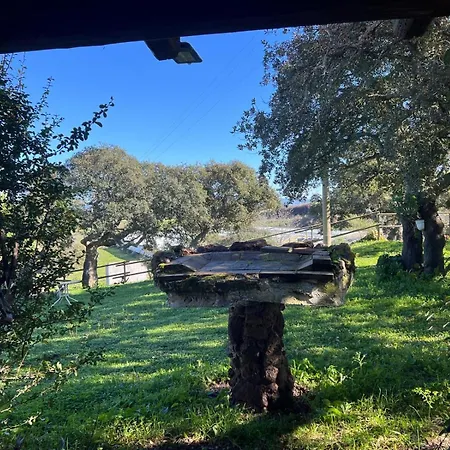 Il Lentischio Domo Mea Villa *