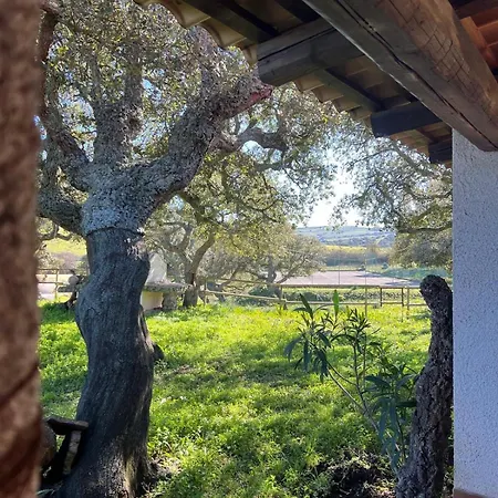 Villa Il Lentischio Domo Mea Nulvi