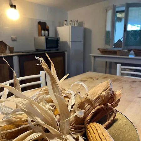 Villa Il Lentischio Domo Mea *