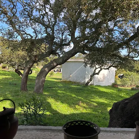 Il Lentischio Domo Mea Nulvi