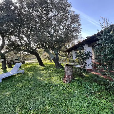 Il Lentischio Domo Mea * Nulvi