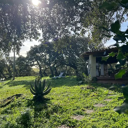 Il Lentischio Domo Mea فيلة