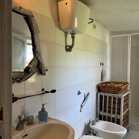 Il Lentischio Domo Mea *