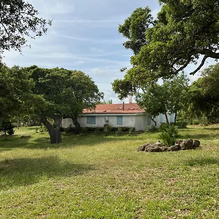 Il Lentischio Domo Mea Villa *