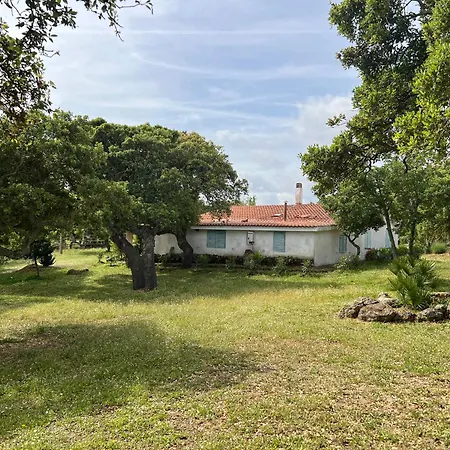 Il Lentischio Domo Mea Nulvi