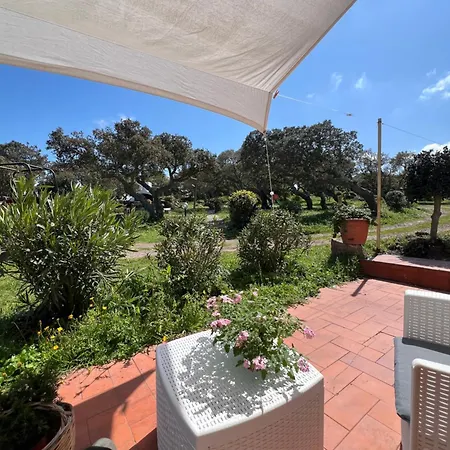 Il Lentischio Domo Mea Willa