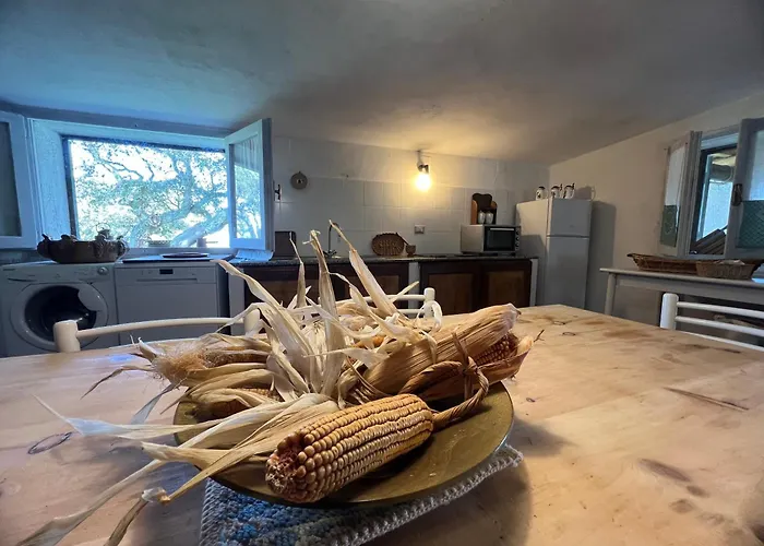 Il Lentischio Domo Mea *