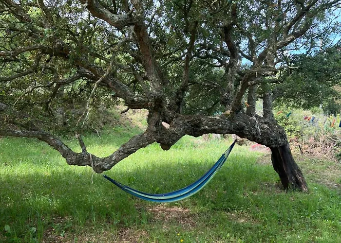 Il Lentischio Domo Mea Villa